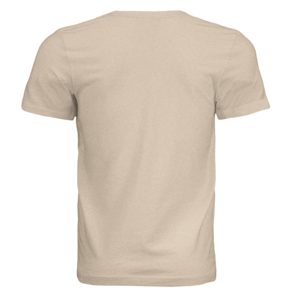 Sand Dune Triblend - 3413C - BACK