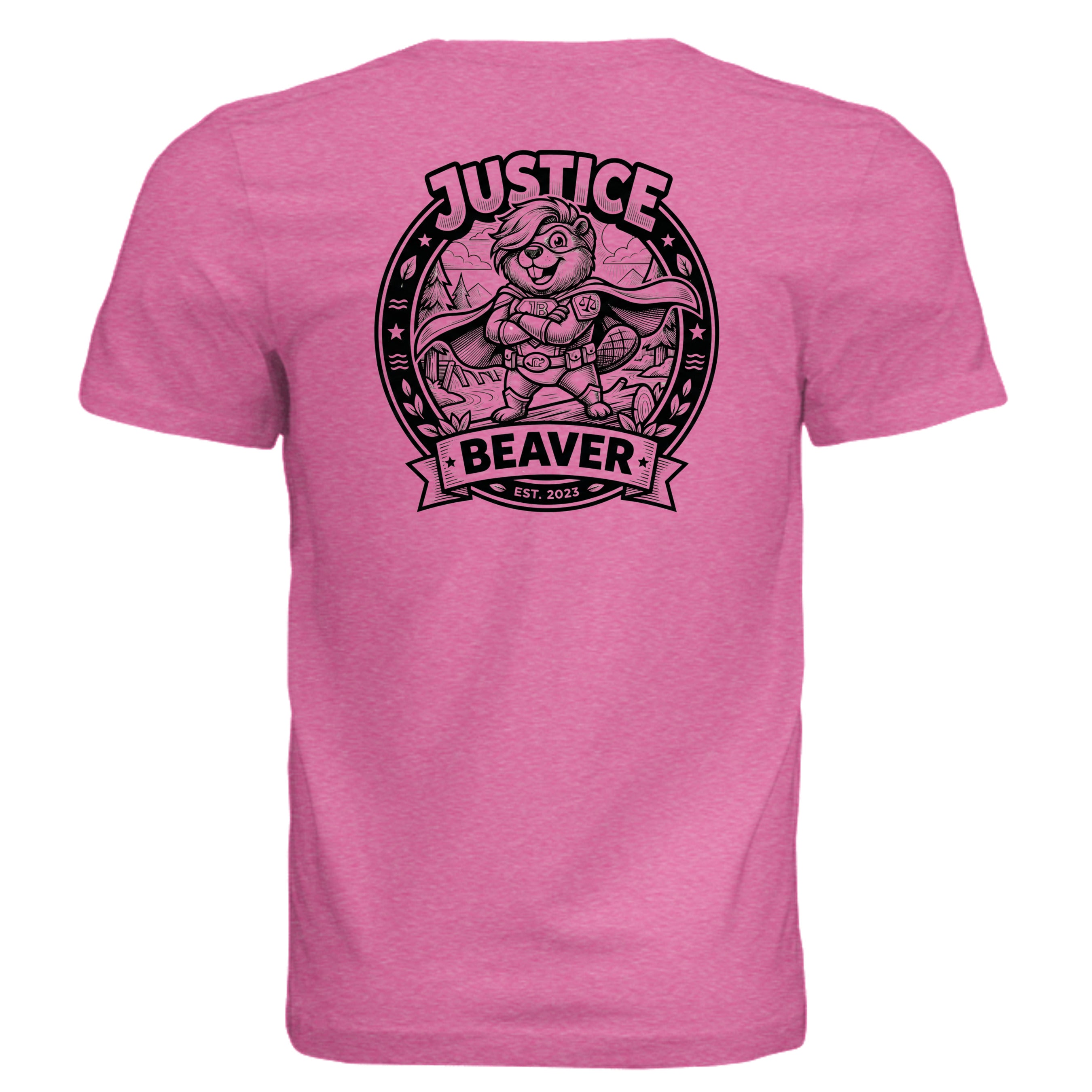 Charity Pink Triblend - 3413C - BACK